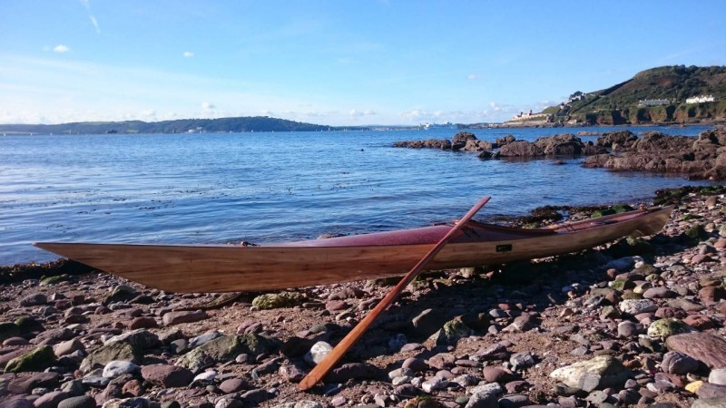 vembex on beach.jpg