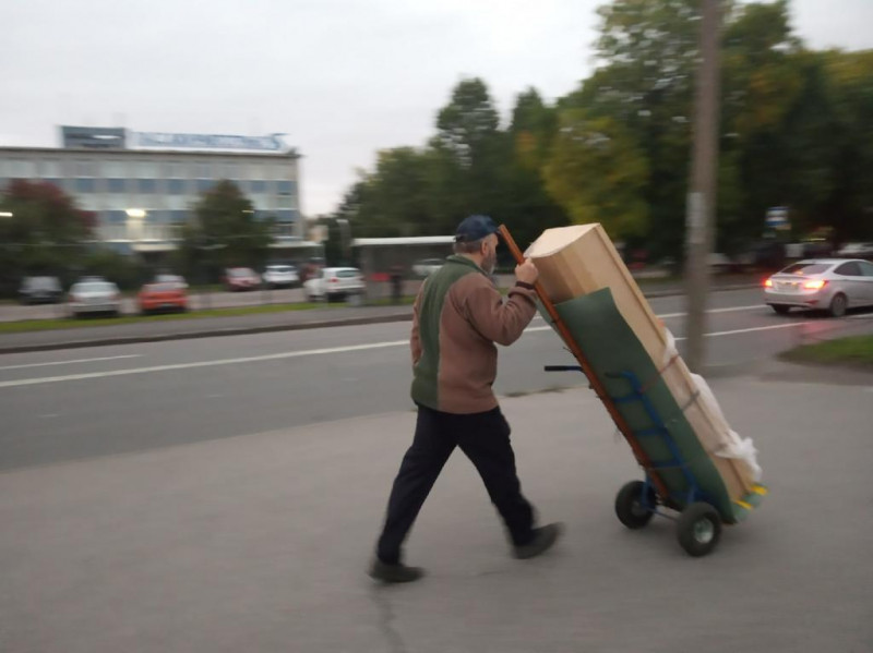 бд.jpg