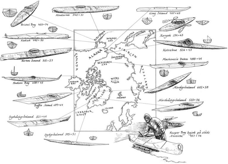 kayak_types-768x552.jpg