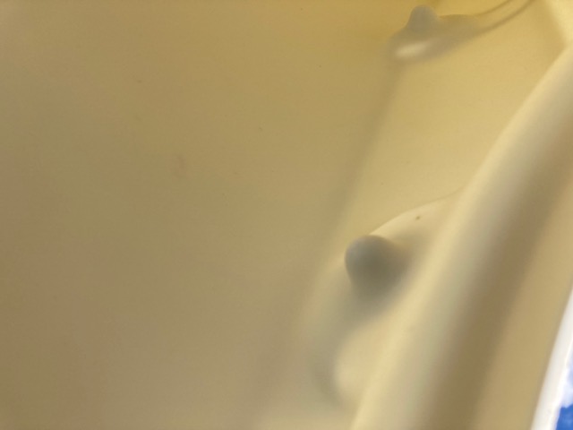E668682B-2C29-4230-8A66-BF766E635250.jpeg