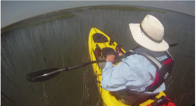 goPro.jpg