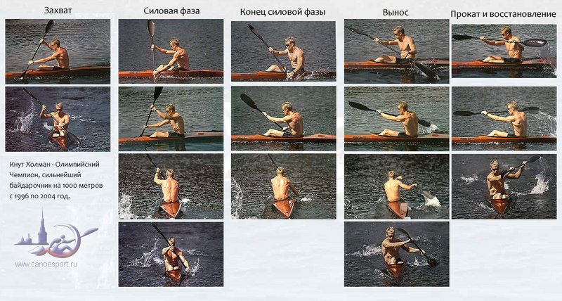 holman_knut.jpg