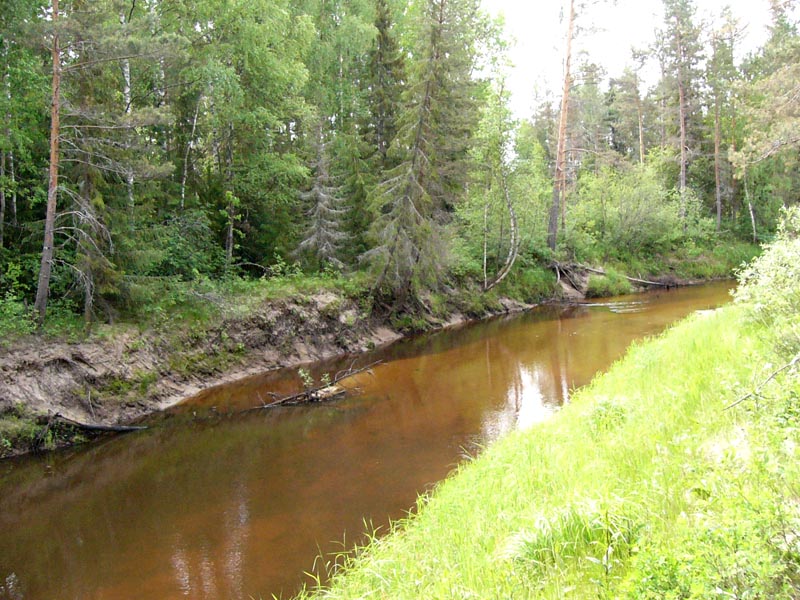 06.jpg