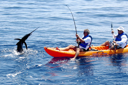 image09.jpg