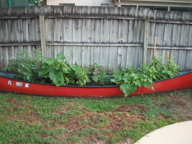 canoe_tomato_bed_img_0007-10.jpg