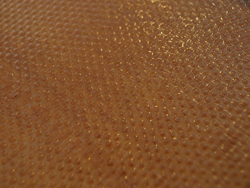 P4087377.JPG