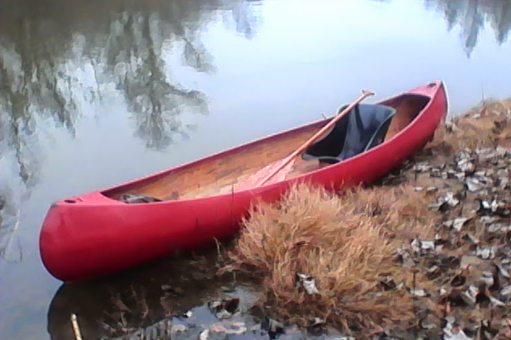 IMG_20141101_134252.jpg