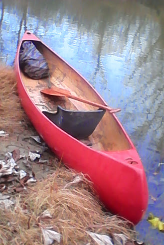 IMG_20141101_134308.jpg