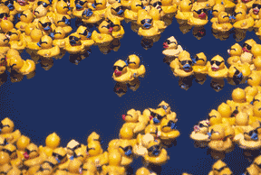 image0007.001.gif