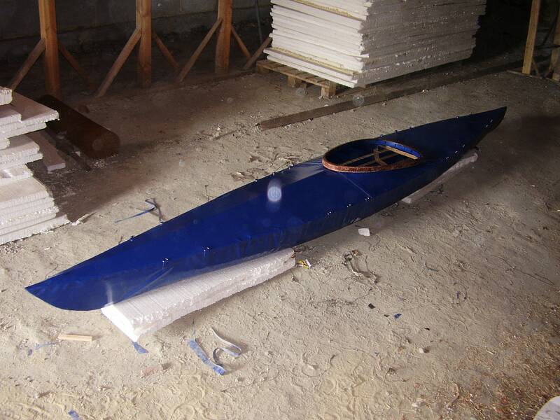 sea bee 13.JPG